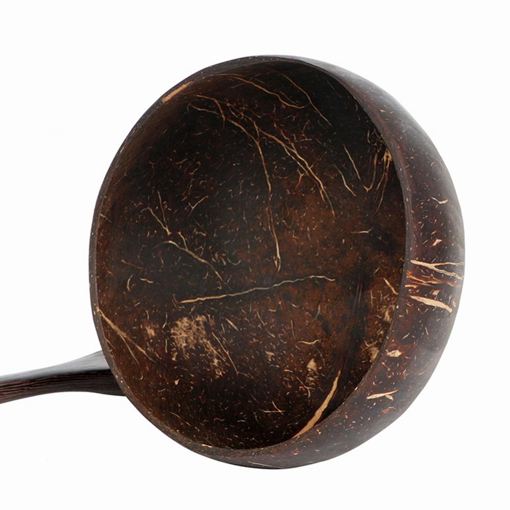 Coconut Shell Bowl