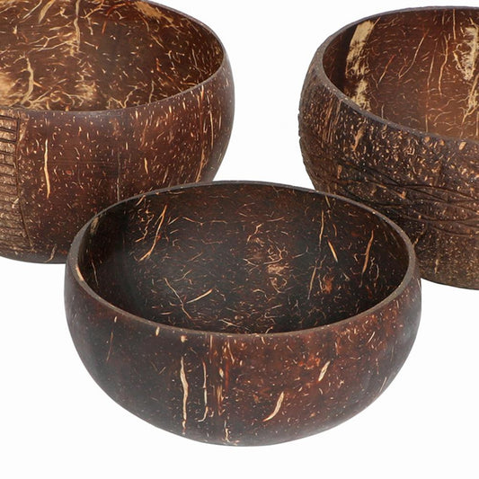 Coconut Shell Bowl