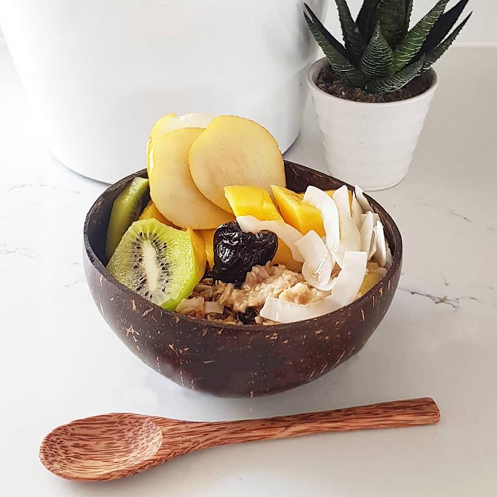 Coconut Shell Bowl